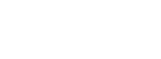 Primary Arms